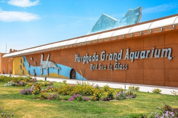 Grand-aquarium (10)