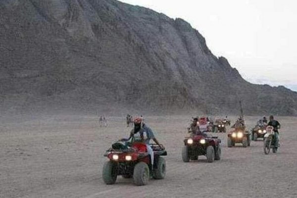 quadro safari (3)